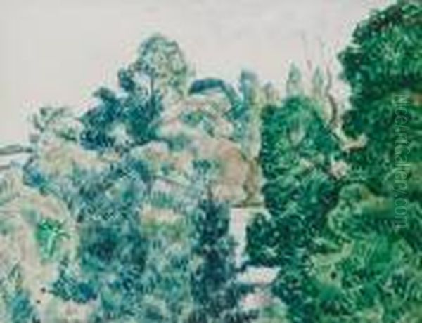 Parc A Vernet-les-bains,pyrenees-orientales - view 1