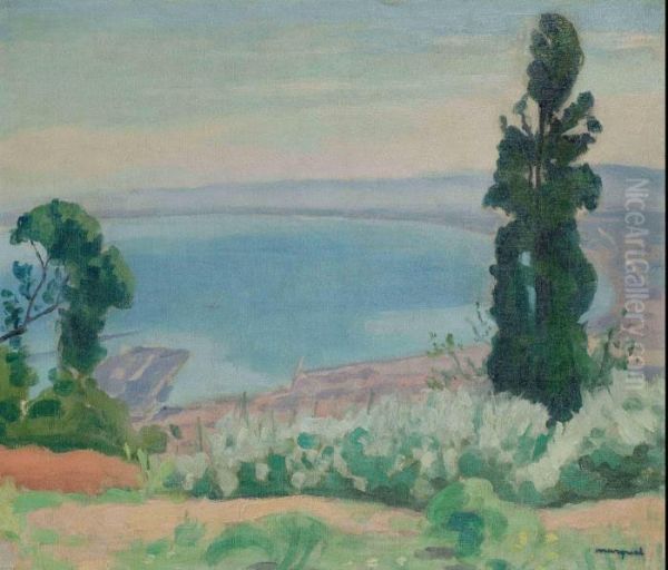 La Baie D'alger - view 1