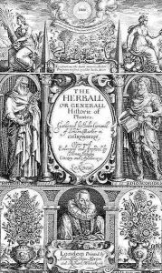 Title page to the second edition of The Herball by John Gerard 1564-1612 1633 by John Payne