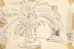 Le Palmier De Djenan Sidi Said, Alger