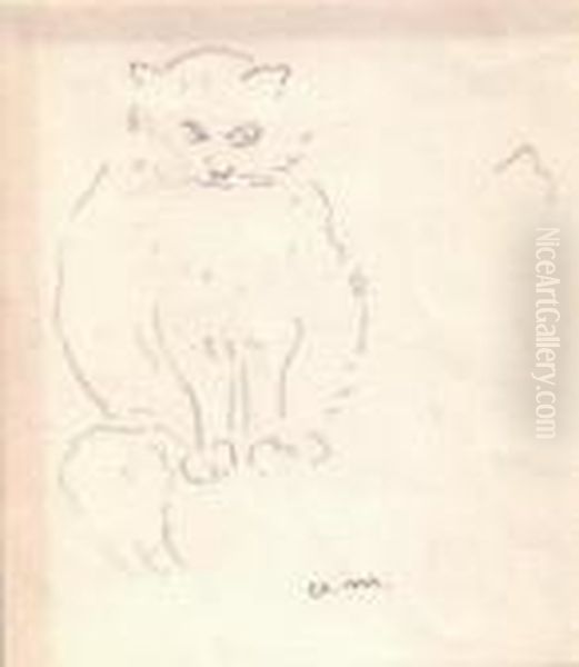 Chat, Sidi Bou Said - view 1