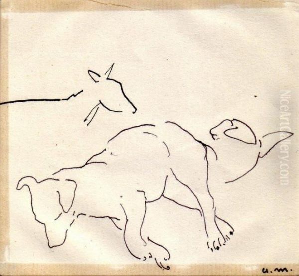 Chiens Couches, Djenan Sidi Said, Alger - view 1