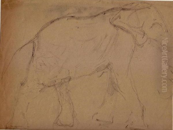 Zoo De Vincennes : Elephant - view 1