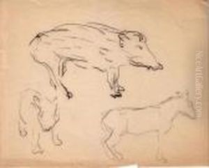 Zoo De Vincennes, Sanglier by Albert Marquet