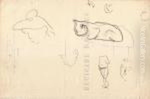 Etude De Chat - view 1
