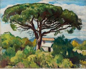 Pin A Saint-tropez by Albert Marquet