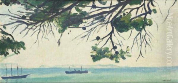 Marine - view 1