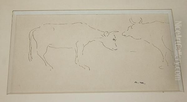 Study Of A Cow - view 1
