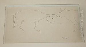 Study Of A Cow Study Of A Cow
