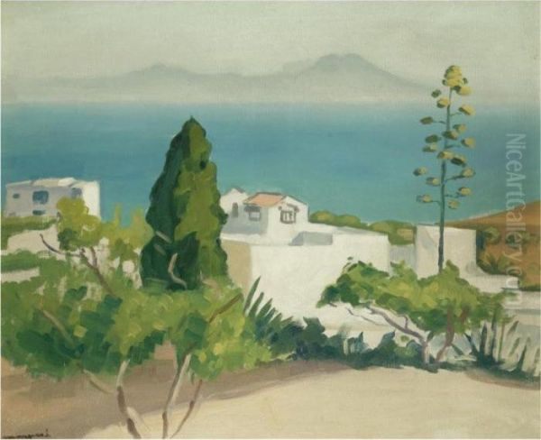 Paysage De Sidi Bou Said - view 1