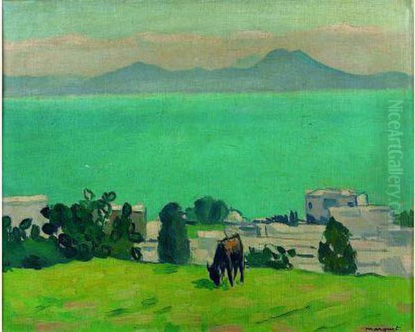 L'ane Broutant - Sidi Bou Said 1923 - view 1