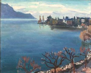 Le Lac Leman A Montreux