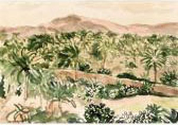 Palmeraie En Algerie - view 1