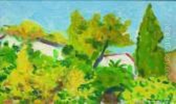 Alger, Vue A Travers Les Arbres - view 1