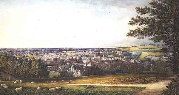Guildford from the South West, 1865 - view 1