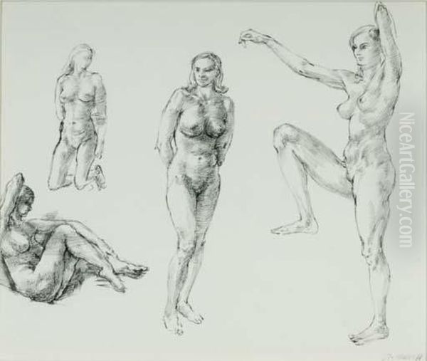 Study Of The Female Anatomy - view 1
