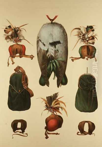 Equipment for Falconry, from Traite de Fauconnerie by H. Schlegel and A.H. Verster de Wulverhorst, 1844-53 - view 1