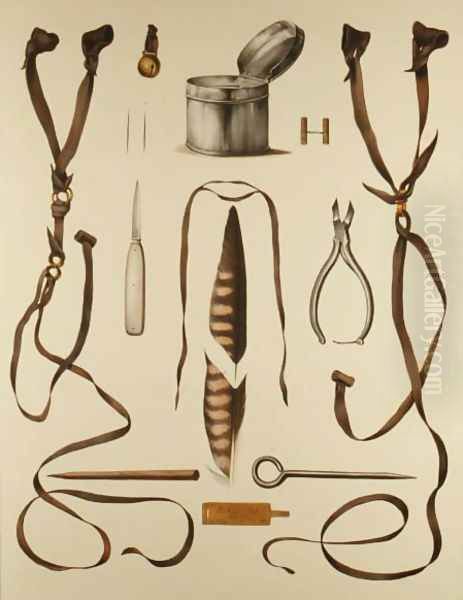 Equipment for Falconry, from Traite de Fauconnerie by H. Schlegel and A.H. Verster de Wulverhorst, 1844-53 2 - view 1
