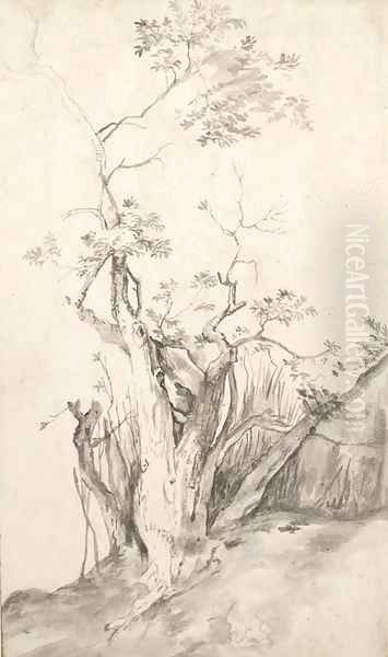 A tree on a hill - view 1