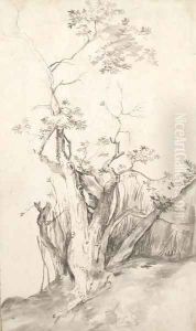 A tree on a hill