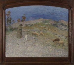 Berger Et Ses Moutons Dans Les Causses