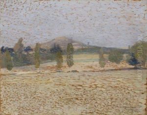 Paysage Aux Arbres Et A La Colline