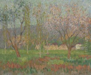Arbres En Fleurs