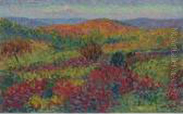 Paysage - view 1