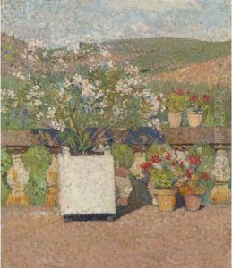 Bac De Lauriers-roses Et Pots De Geraniums Sur La Terrasse De Marquayrol En Ete