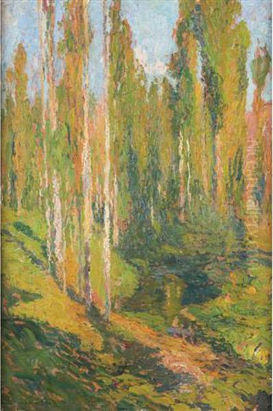 Sous-bois, Circa - view 1
