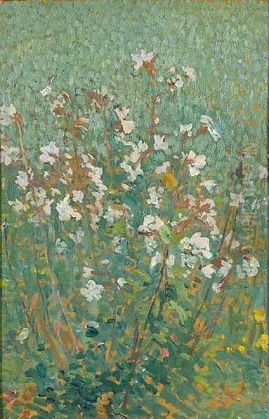 Fleurs - view 1