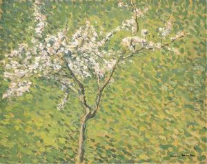 Cerisier En Fleur