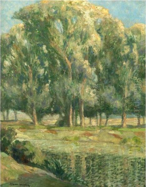 Une Riviere Devant Un Bosquet D'arbres - view 1