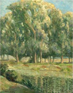 Une Riviere Devant Un Bosquet D'arbres
