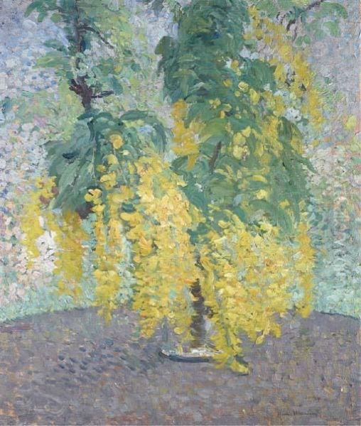 Branche De Cytise Dans Un Vase - view 1