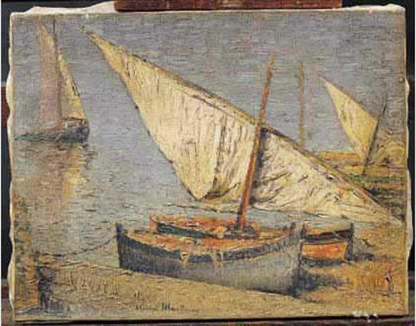 Barques A Collioure - view 1