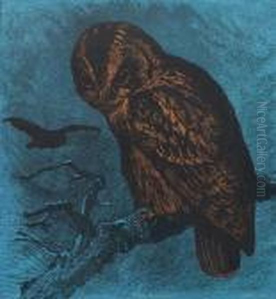Perched Owl - view 1