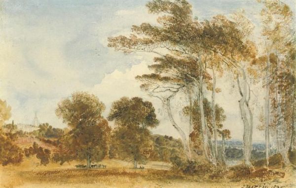 Richmond Park, London - view 1