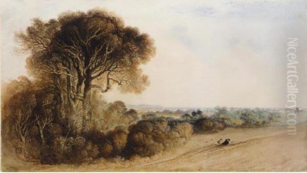 View Near Eastbourne - view 1