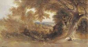View In Richmond Park, Near Pembroke Lodge, London