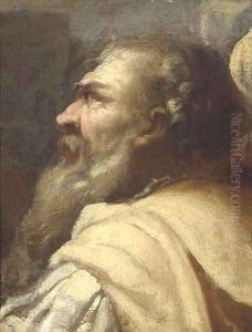 Study of a bearded man in profile by Giovanni Battista Piazzetta