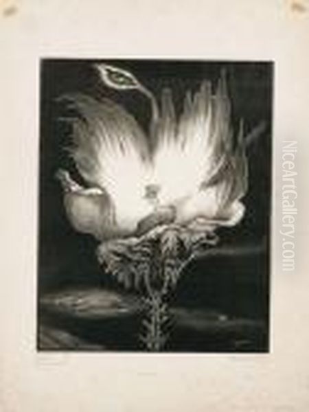 Amore - 1914 - view 1