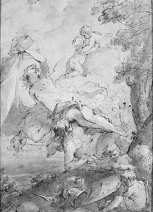 The apotheosis of Venus by Filippo Pedrini