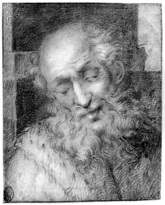 The head of a bearded old man by Camillo Procaccini