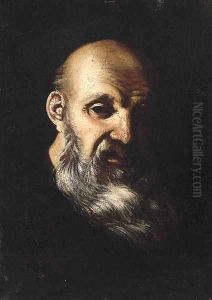 An old Man, head and shoulders by Mattia Preti
