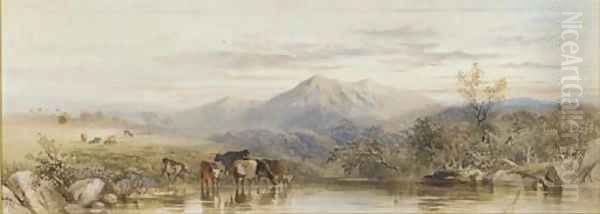 Cattle watering at dusk - view 1