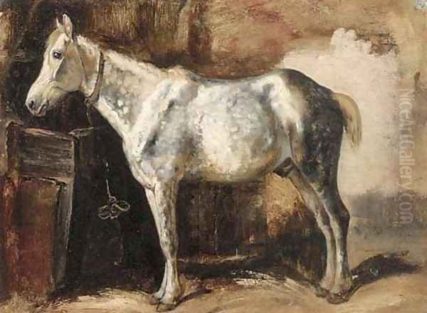 A grey in a stable - view 1