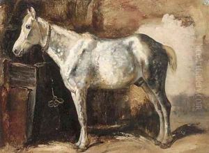 A grey in a stable by George Paice