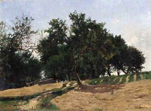 Summer Landscape by William Lamb Picknell