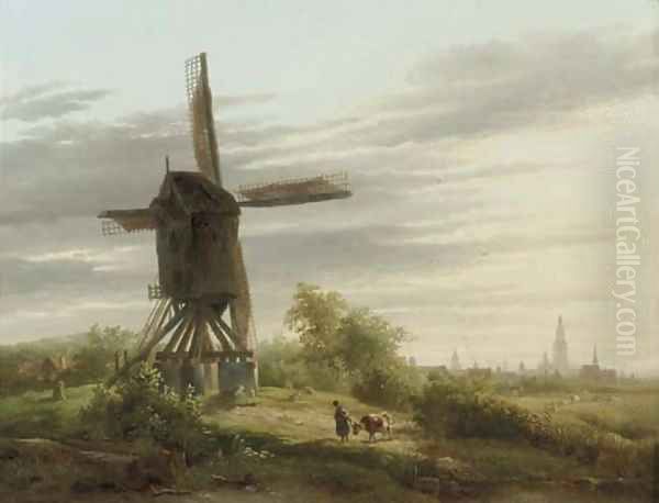 A Spinnekopmolen in a meadow - view 1